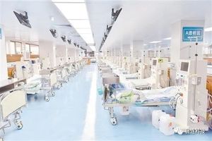 文章附图